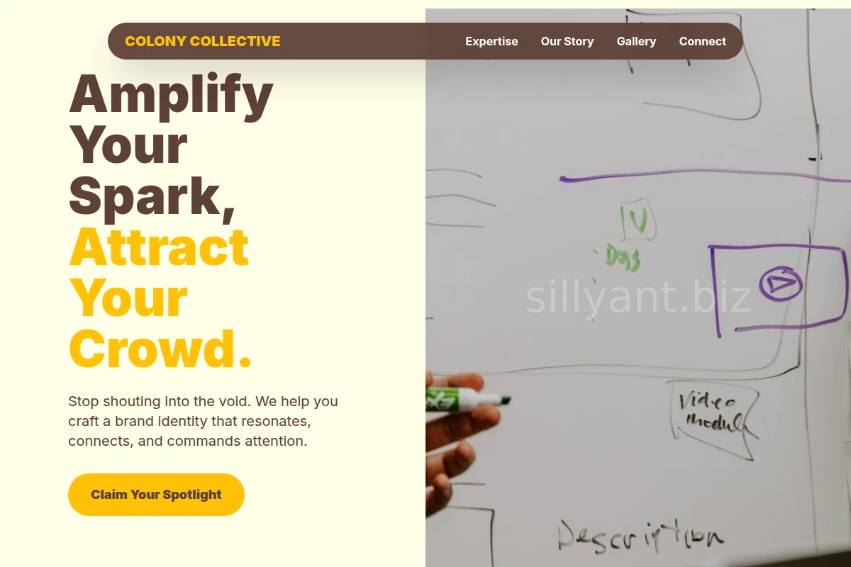 Vector Brand Strategy