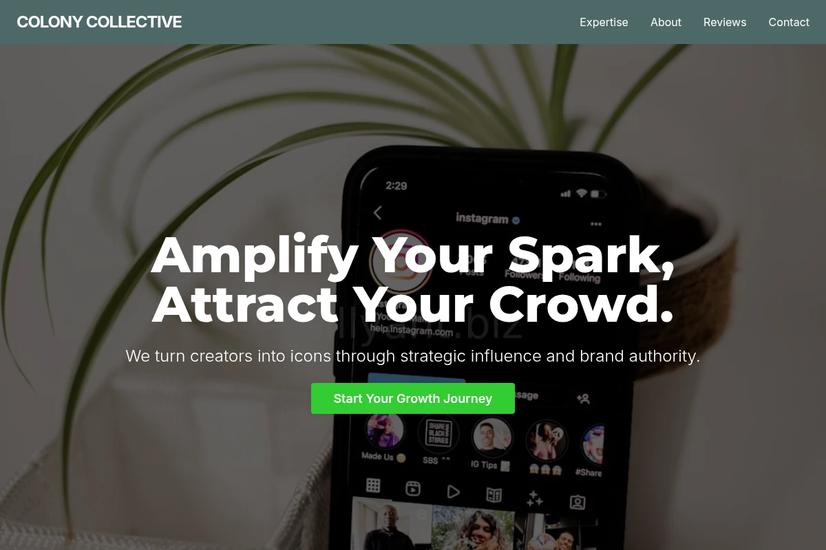 Canvas Influencer Marketing
