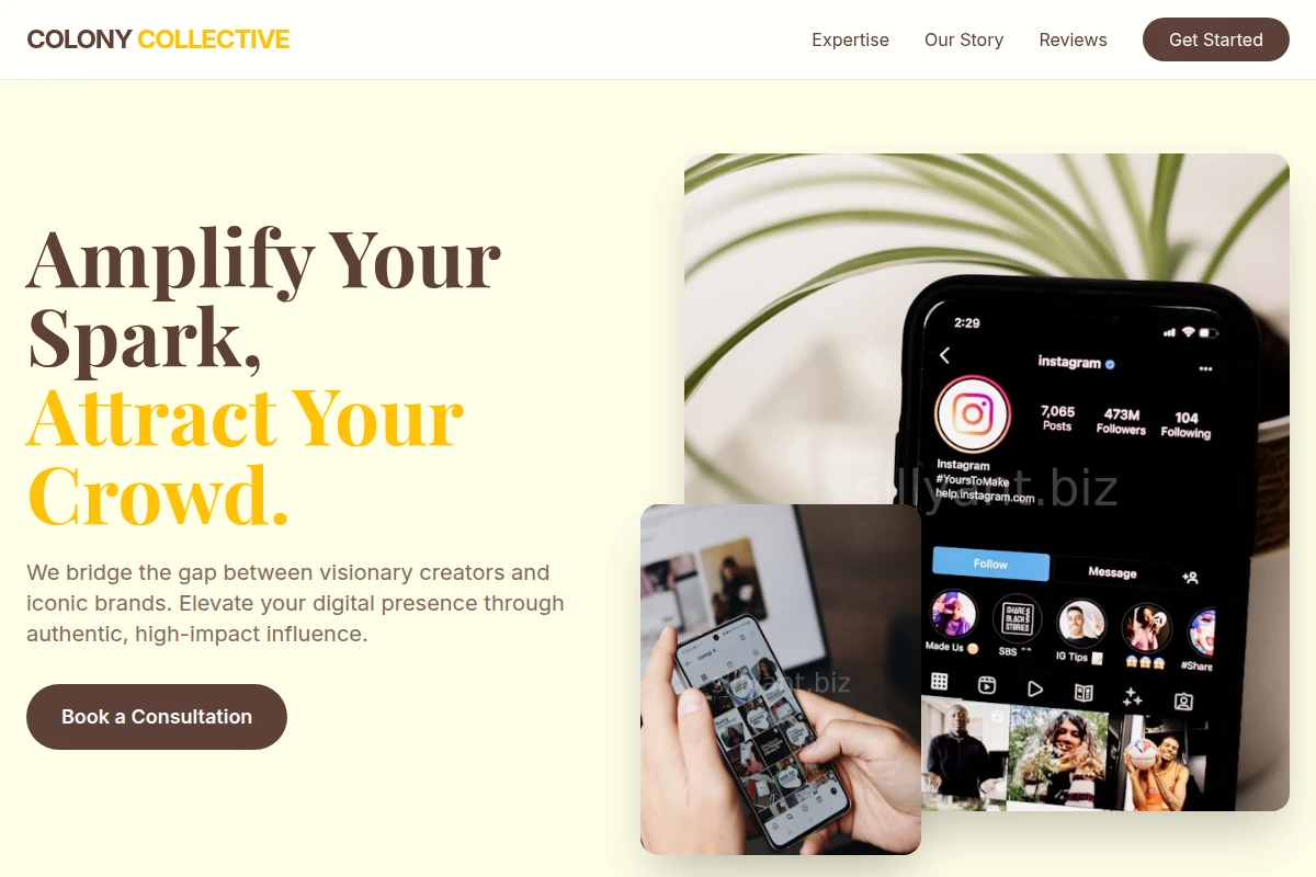 Vibe Influencer Marketing