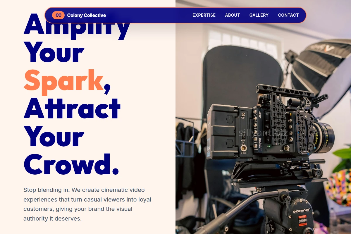Zest Video Marketing