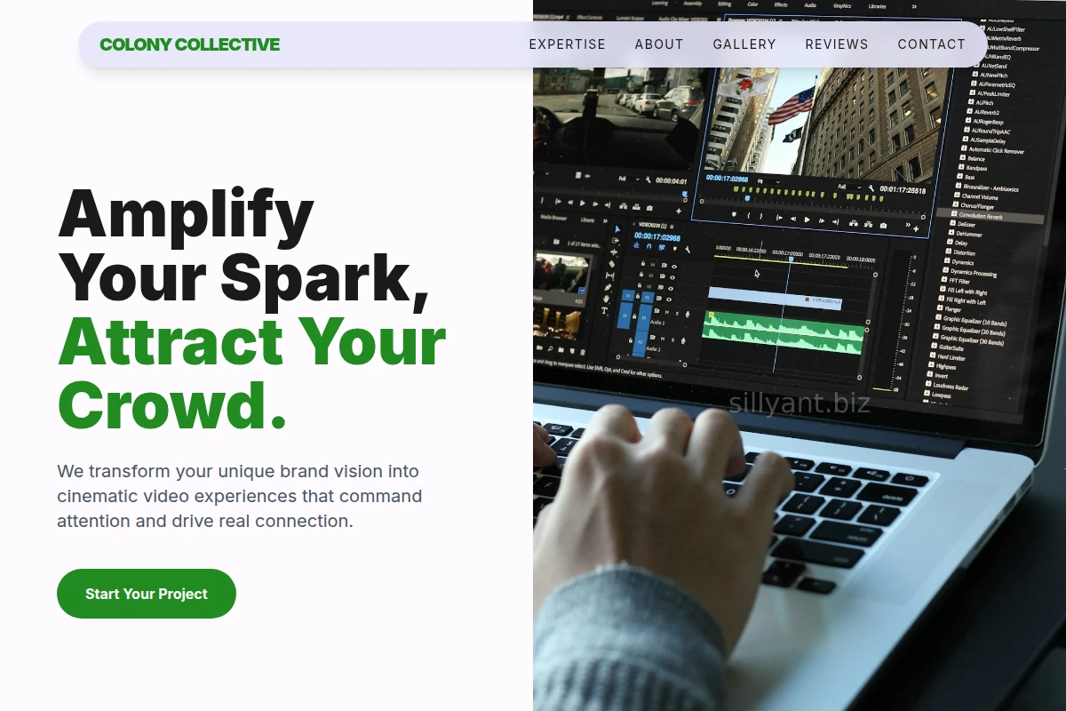 Catalyst Video Marketing